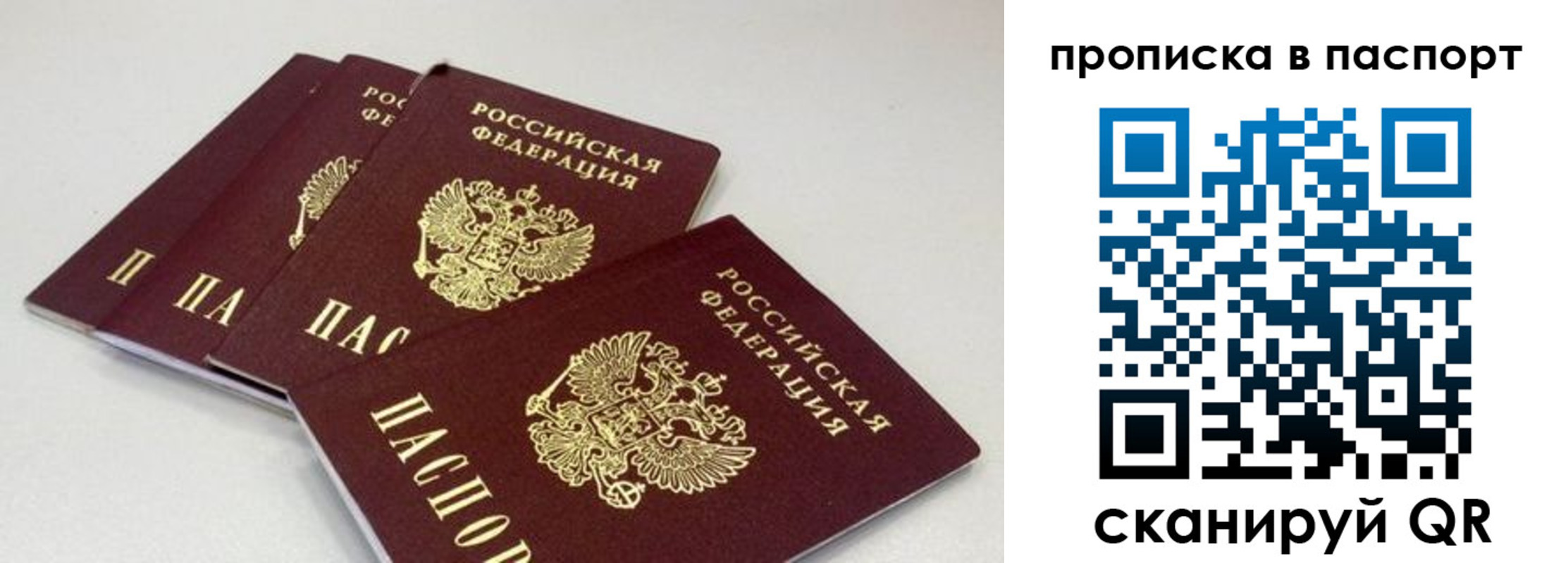 найти адрес прописки в Чите